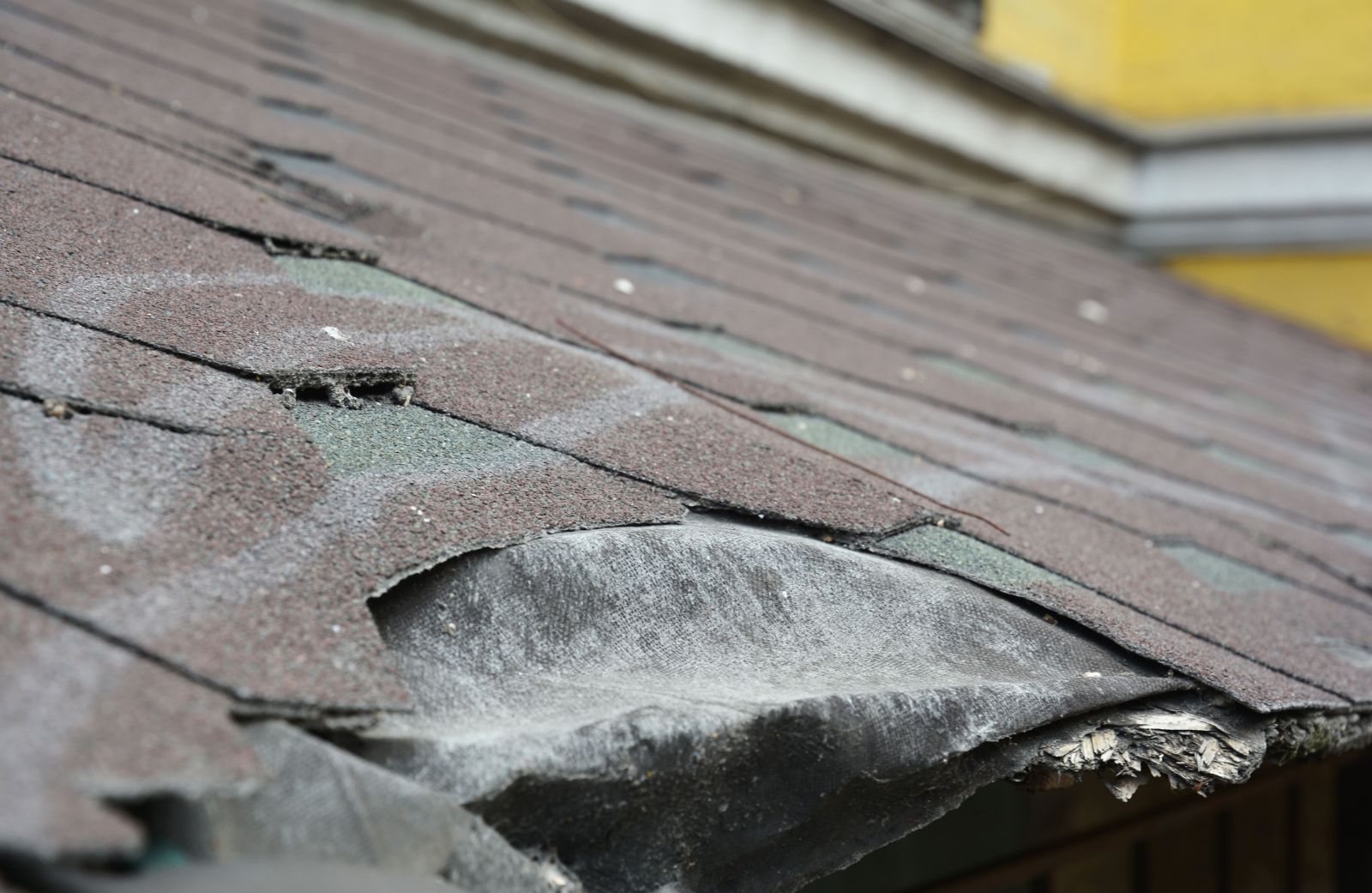 Delta Blue Roofing Images