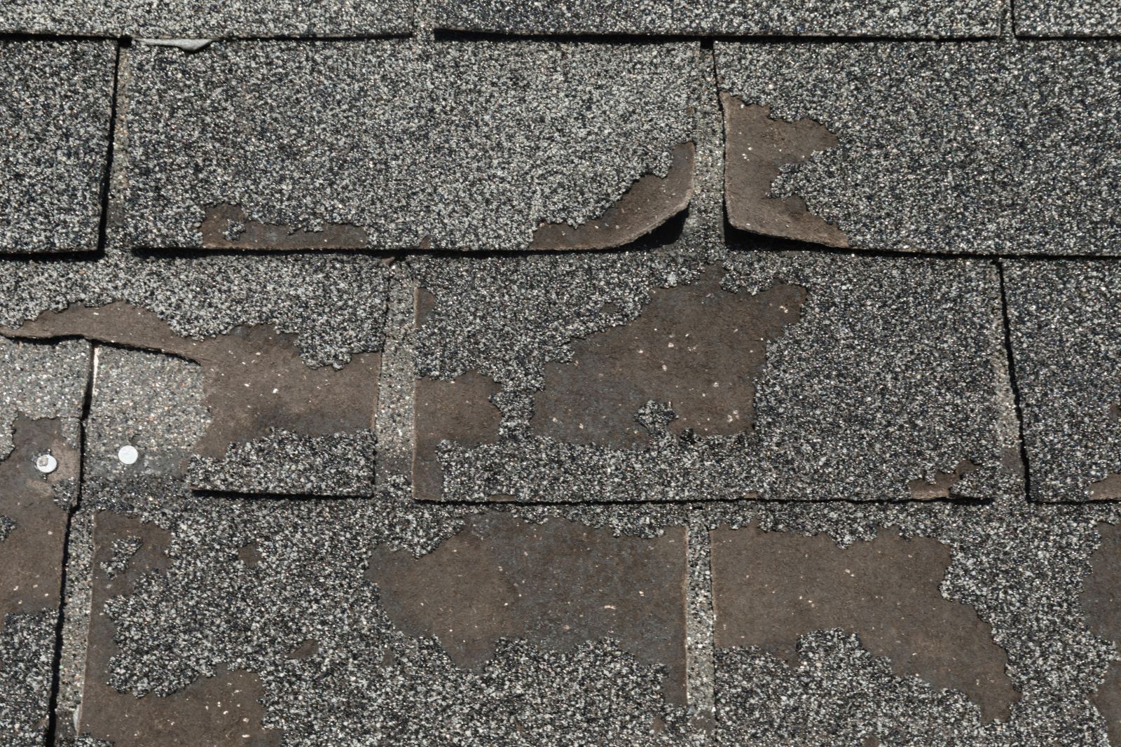 Delta Blue Roofing Images